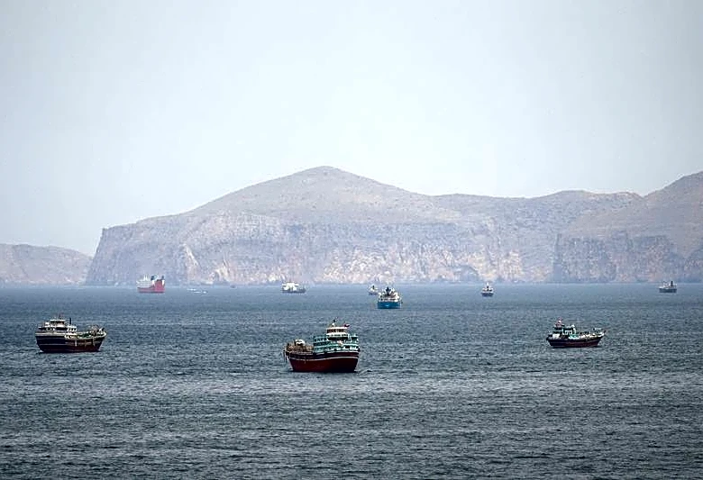 Hormuz closure could trigger 'agrifood shock', price crisis within a year, FAO warns
