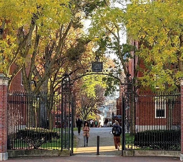 Harvard faculty take aim at grade inflation by capping 'A' grades for students