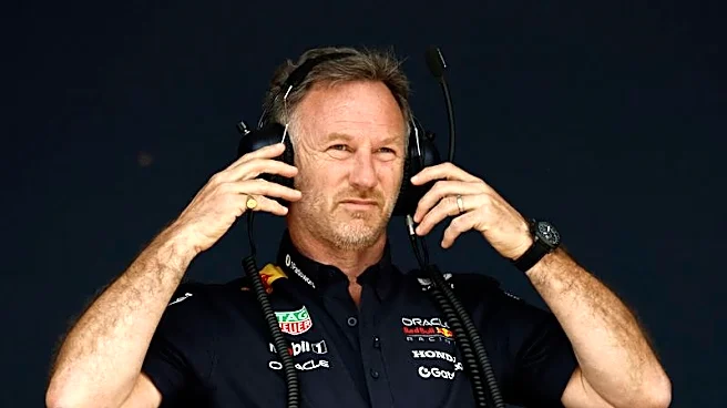 Motor racing-Former Red Bull boss Horner working with private equity investor Oakley