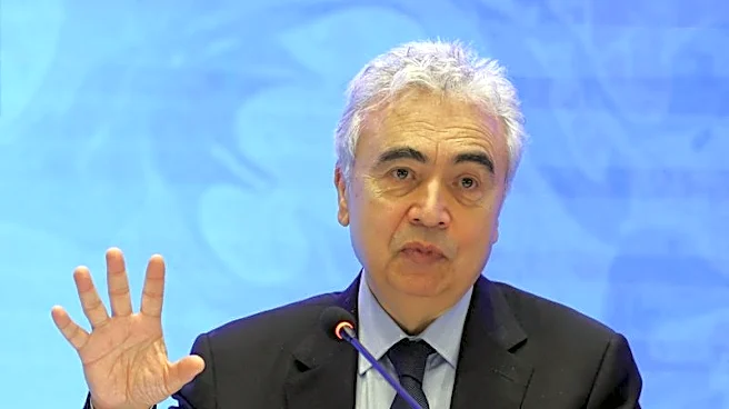 Oil market could hit 'red zone' in July-August, IEA chief says
