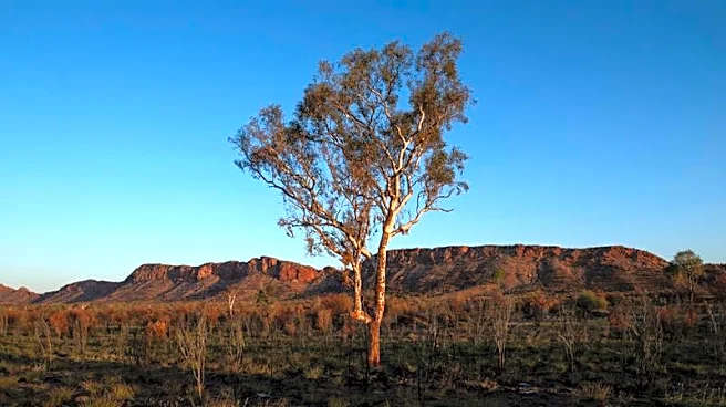 Climate change threatens global plant species as habitats shrink