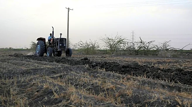Iran war poses new threat to harvests in hunger-stricken Sudan