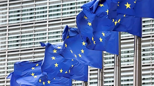 Exclusive-Starlink and Amazon may be able to buy into EU mobile satellite spectrum plan