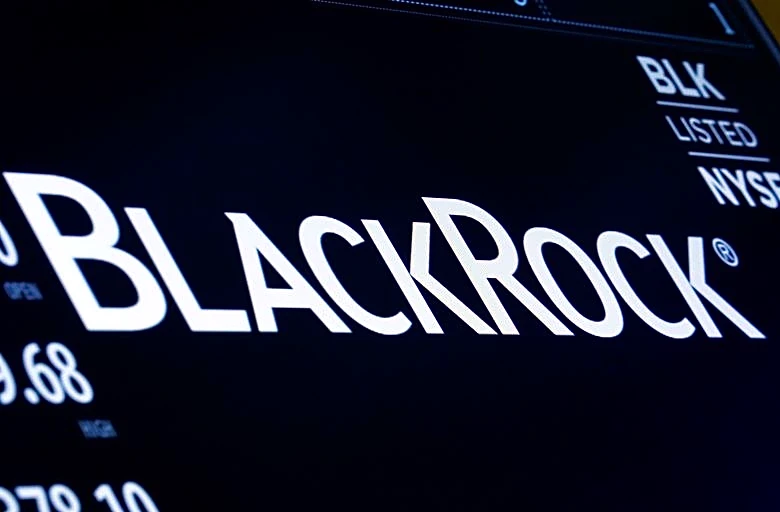 BlackRock sees merit in large scale mining M&A