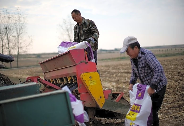 China allows fresh urea exports amid Iran war-fuelled fertiliser crisis, sources say