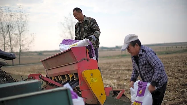 China allows fresh urea exports amid Iran war-fuelled fertiliser crisis, sources say