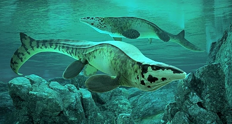 Fearsome dinosaur-era marine reptile was the T. rex of the sea