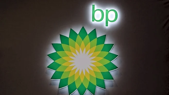 Exclusive-Ousted BP Chair met activist shareholder Elliott without direct knowledge of other directors, sources say