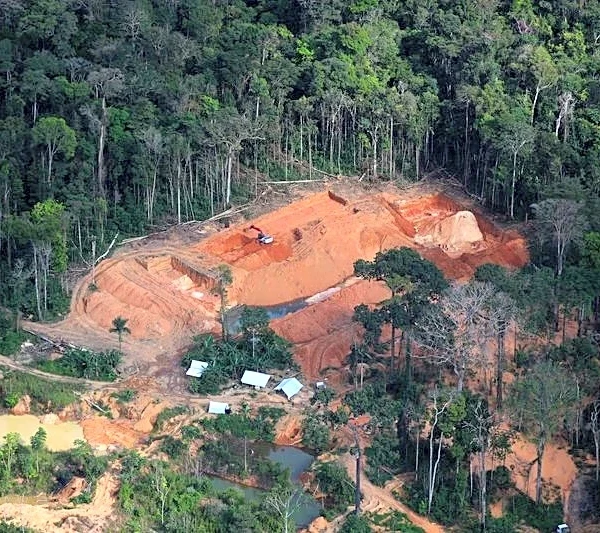 Illegal miners extract billions in Amazon gold despite Brazil crackdown, Greenpeace finds
