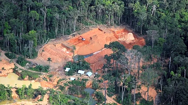 Illegal miners extract billions in Amazon gold despite Brazil crackdown, Greenpeace finds