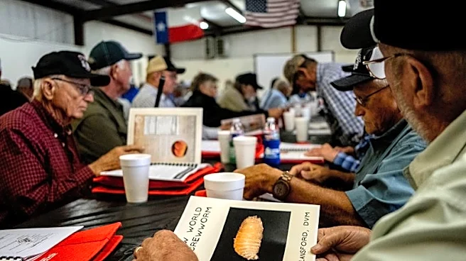 Flesh-eating screwworm found within 31 miles of US border, says USDA