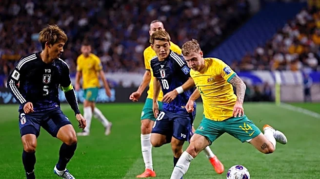 Soccer-Australia coach says 'fearless' Socceroos ready for World Cup