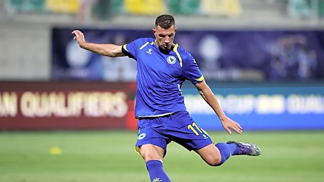 Soccer-Veteran Dzeko the talisman for Bosnia's new generation