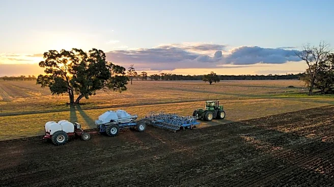 Australia says its wheat output will be shrunk by Iran war costs, dry weather