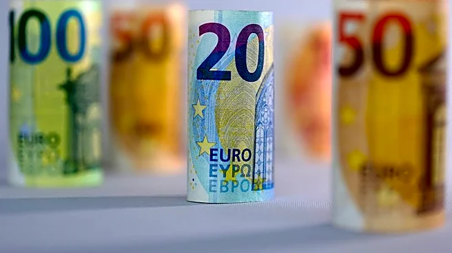 Euro fails to nab big market share from dollar despite erratic US policy, report shows