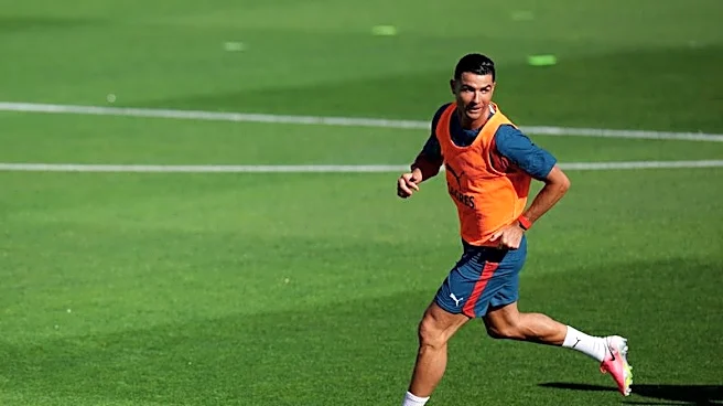 Soccer-Ronaldo heads for sixth World Cup with unfinished business