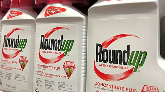 Bayer says no plans to restructure despite litigation threat