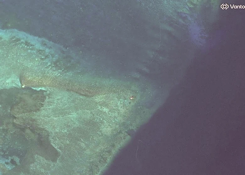 Exclusive-Satellite images show suspected structure at disputed South China Sea atoll, but later gone