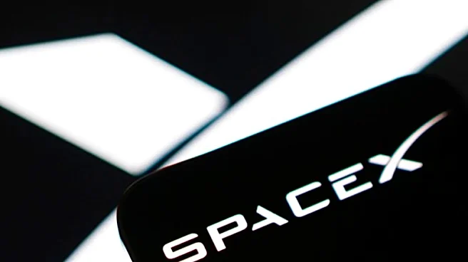 Goldman Sachs expects SpaceX's AI revenue to surge 100-fold by 2030, FT reports