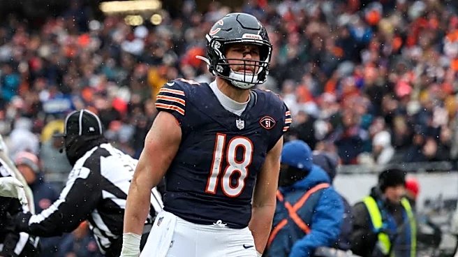 Steelers sign TE Robert Tonyan, LB Jamin Davis to contracts