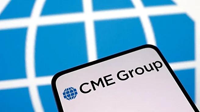 CME Group's CEO, Duffy, warns of systemic risk from new crypto 'perps'