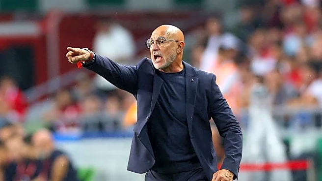 Soccer-De la Fuente pleased with injury-free friendly as Spain turn focus to US