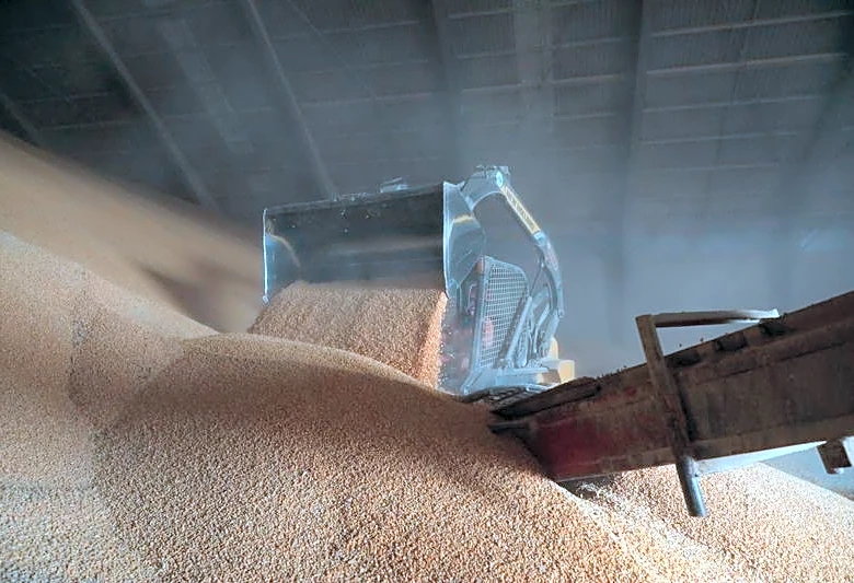 World food prices slip in May, still near three-year high, FAO says
