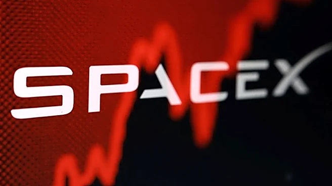 Explainer-Why SpaceX faces a longer wait to join S&P 500