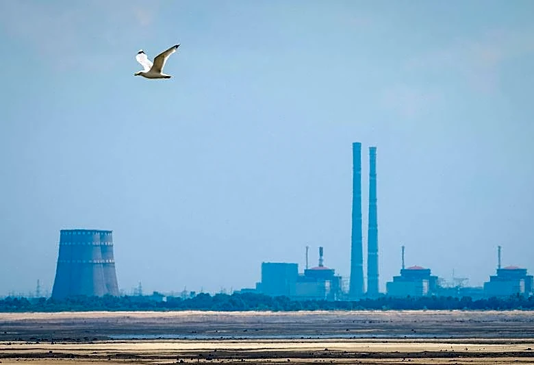 Russia's Rosatom says Ukrainian drone hit engineers demining areas around Zaporizhzhia nuclear plant