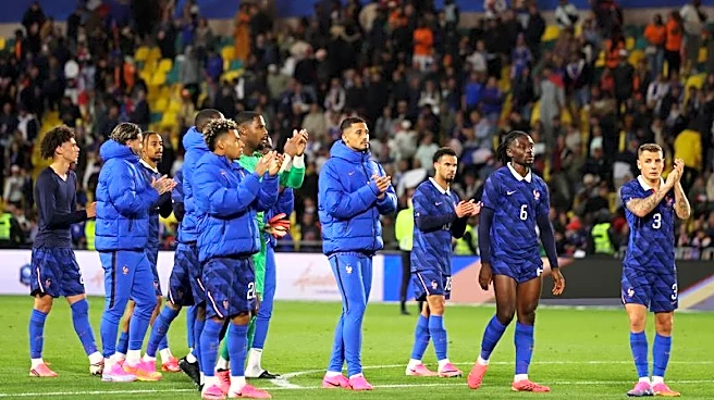 Soccer-France to edge out Spain for World Cup glory, economists say: Reuters poll