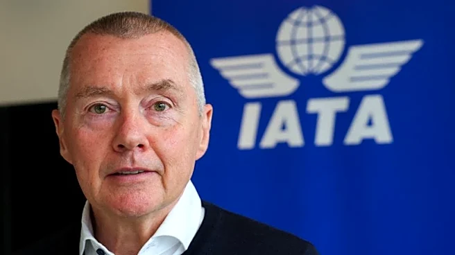 High fuel costs to trigger airline failures and consolidation, industry chief says