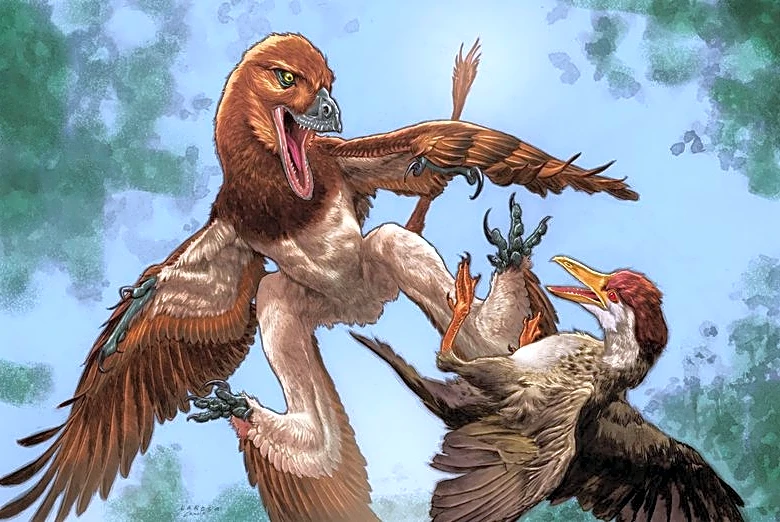 Chinese Velociraptor cousin had a taste for birds