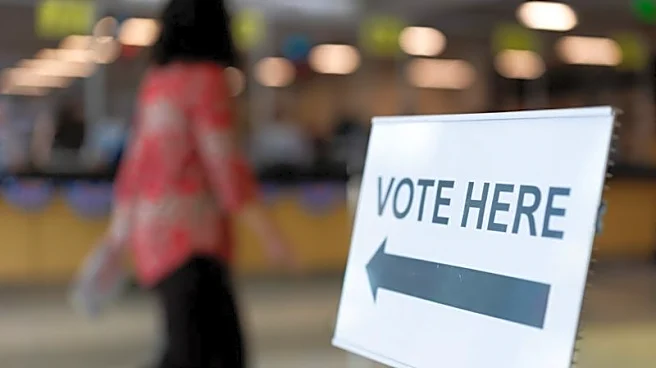 Party over purity: US voters unlikely to turn backs on troubled candidates, Reuters/Ipsos poll finds