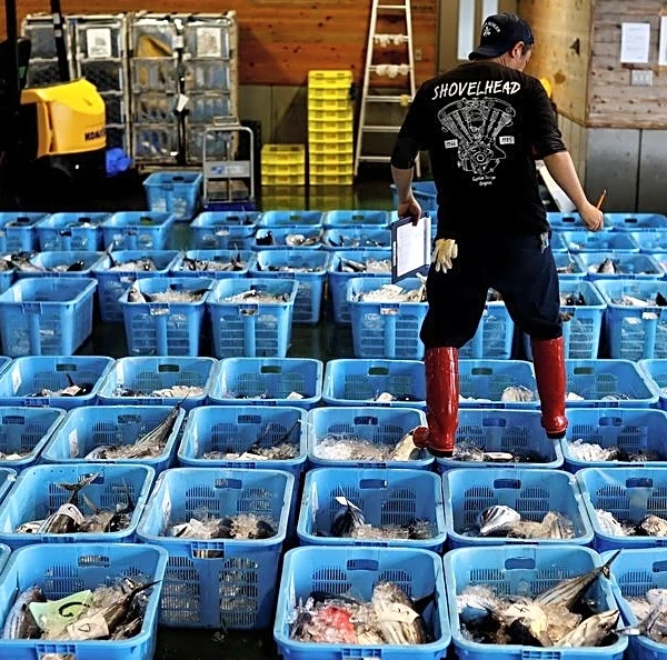 Japan wholesale inflation accelerates to fastest in 3 years as energy costs spike