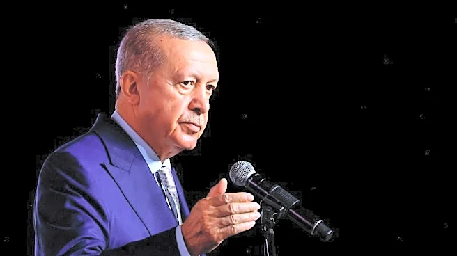 Erdogan says Israel's attacks on Syria, Lebanon threaten Turkey too