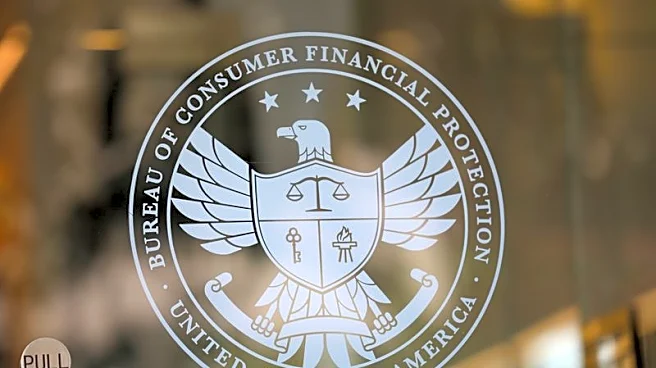 Trump picks Capital One's Brian Johnson to head US consumer finance watchdog
