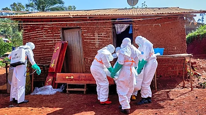 A cracked coffin, a funeral and the hunt for Ebola's patient zero