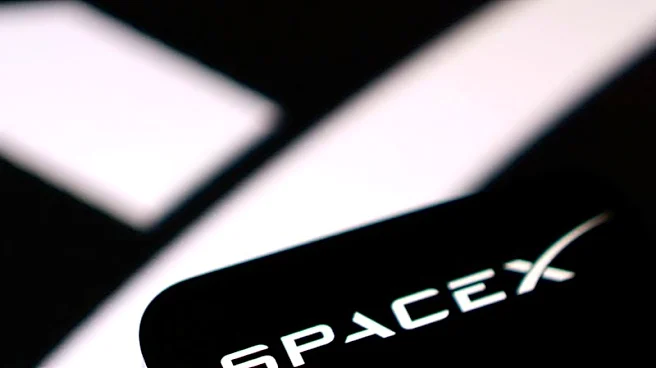 Factbox-Elon Musk's SpaceX kicks off mega IPO wave with $75 billion haul