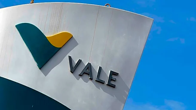 Vale's top shareholder pushes for meeting on chairman's removal