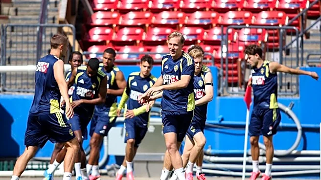 Soccer-Sweden set for Tunisia showdown after rocky road to World Cup