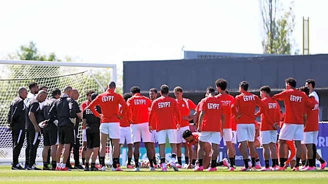 Soccer-Egypt are looking past Belgium in World Cup opener