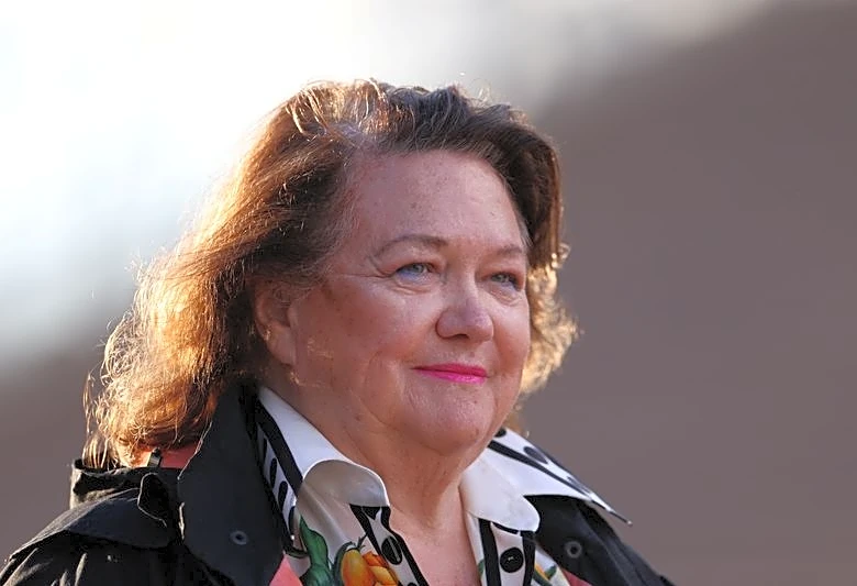 Australia's richest person Rinehart takes $1 billion stake in SpaceX IPO, WSJ reports