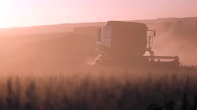 Analysis-Brazil farm auctions explode as rural debt spirals in a changing climate