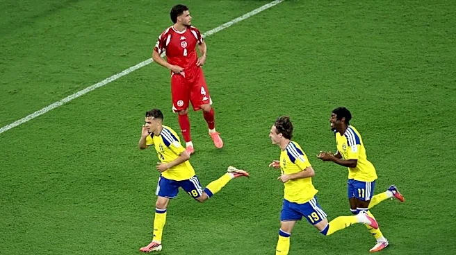 Soccer-Emotional rollercoaster for Swede Ayari after wonder goals against father's Tunisia
