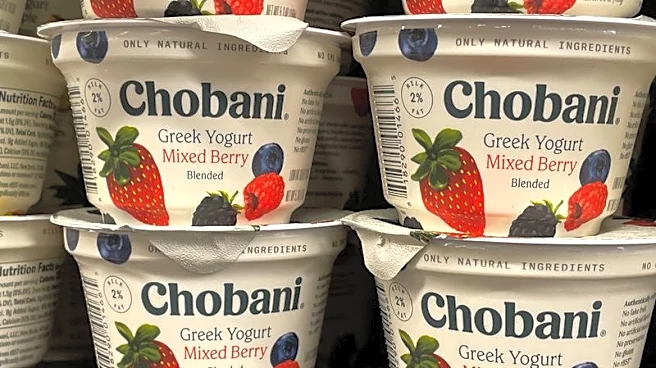 Dannon parent sues Chobani over yogurt protein claims