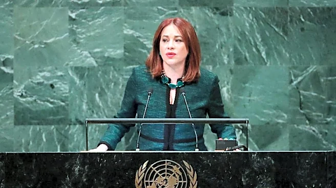 Ecuadorean candidate to head UN calls for body to be shrunk responsibly