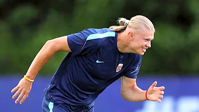 Soccer-Let's give the ball to Haaland, Norway coach says