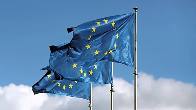 Exclusive-Ukraine aims to align banks, insurers with EU rules by 2028, central banker says