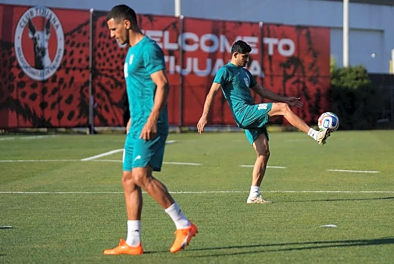Soccer-Iran say winger Torabi's U.S. visa expired after one World Cup game