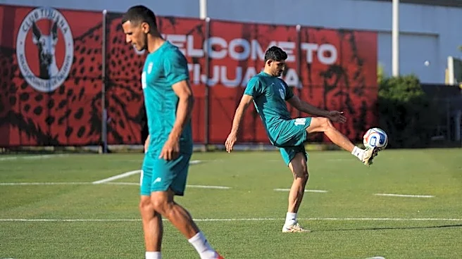 Soccer-Iran say winger Torabi's U.S. visa expired after one World Cup game